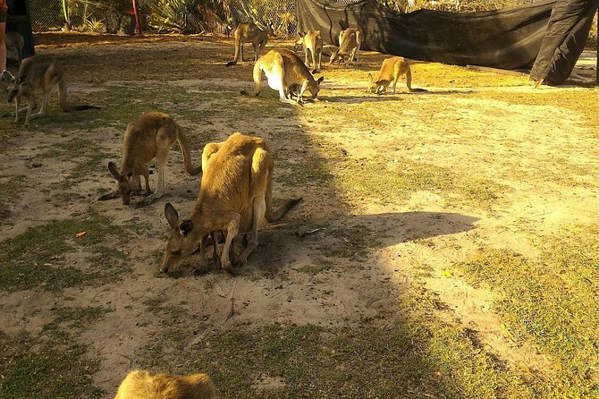 Scooter Wildlife & Sunset Tour - Beaches, birds, and the sunset window