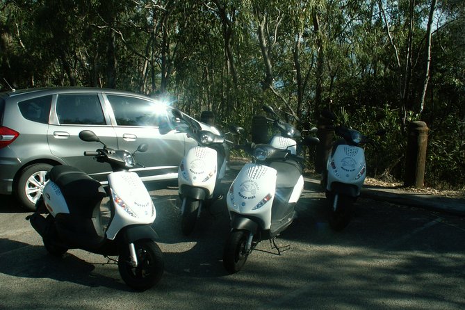 Scooter Wildlife & Sunset Tour - Is $70.46 good value?