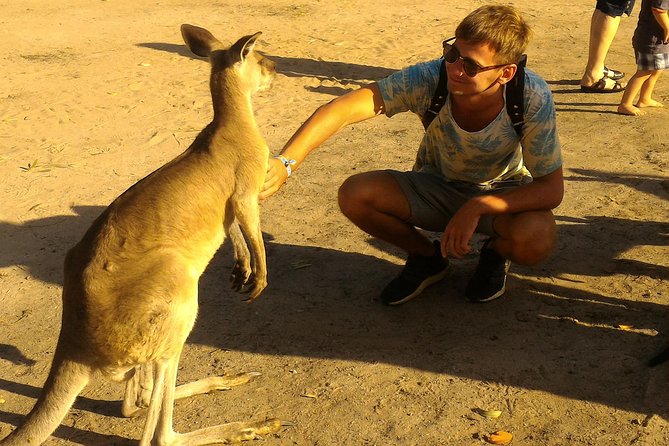 Scooter Wildlife & Sunset Tour - Booking, timing, and cancellation details