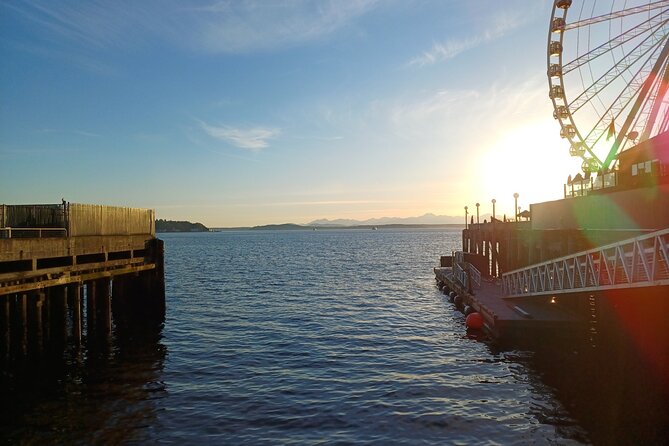 Seattle Waterfront Electric Scooter Tour with Great Wheel - Myrtle Edwards Park and the waterfront art walk