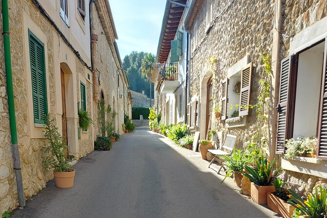Self Guided E Scooter Brunch Tour in Mallorca Countryside - Through Forested Hills to Local Villages