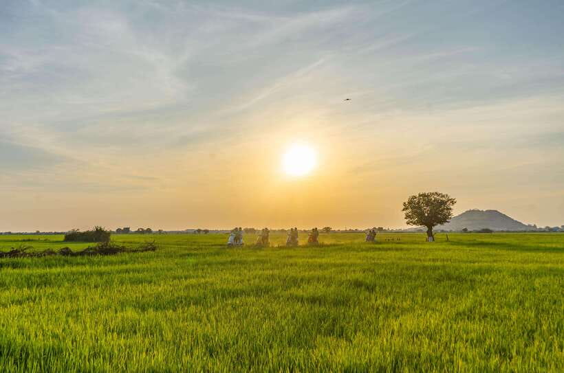 Siem Reap Countryside Sunset Vespa Tour or Tuk Tuk - A traditional village and the first look at rural life