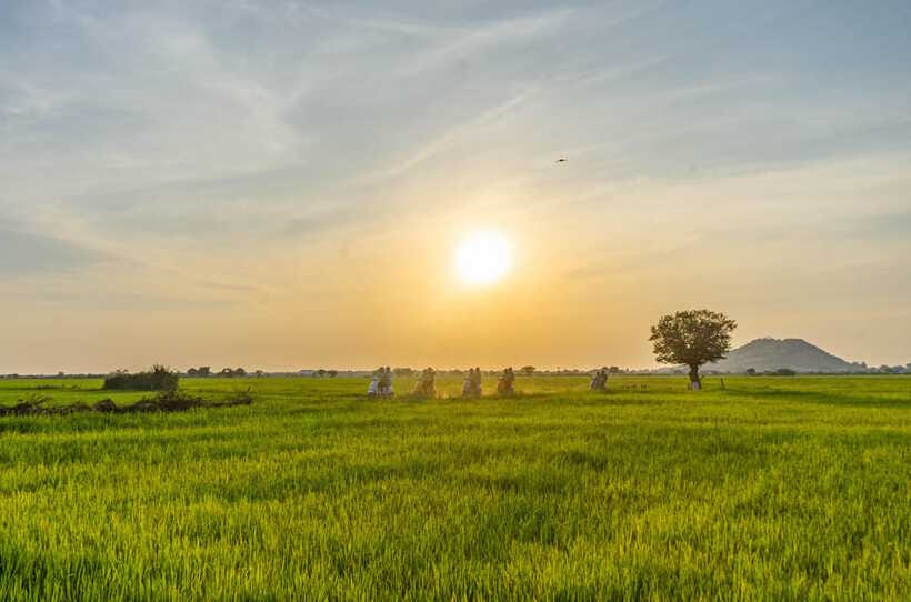 Siem Reap Countryside Sunset Vespa Tour or Tuk Tuk - Sra Sor and the small-scale rice wine stop