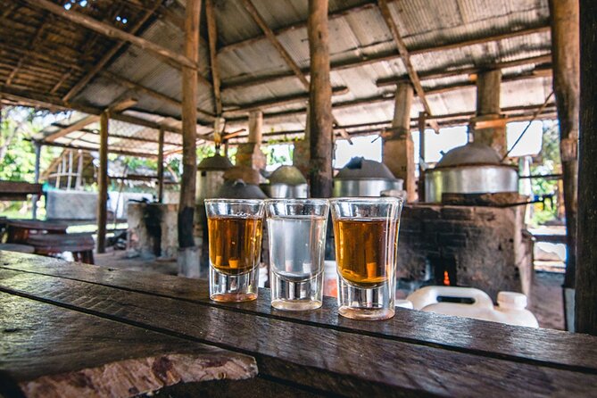Siem Reap Countryside Sunset Vespa Tour / Tuk Tuk Available - Wat Po Banteaychey and the farm roads