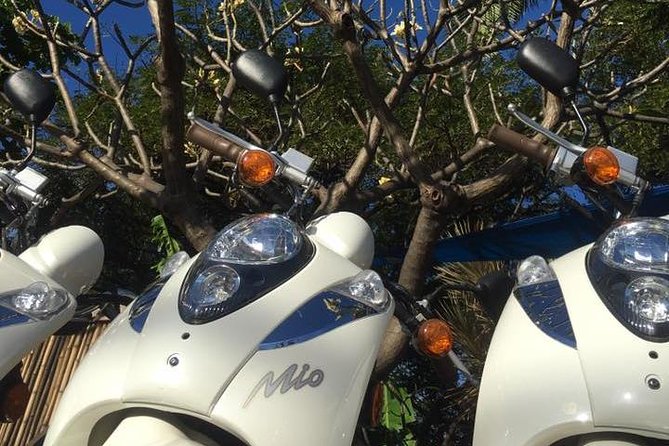 Single Passenger Moped/Scooter - 18+ NO Motorcycle License Needed - The damage waiver deserves a close look