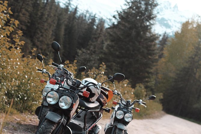 Skagway Scooter Gold Rush Adventure - Jewell Gardens and the scenic return route