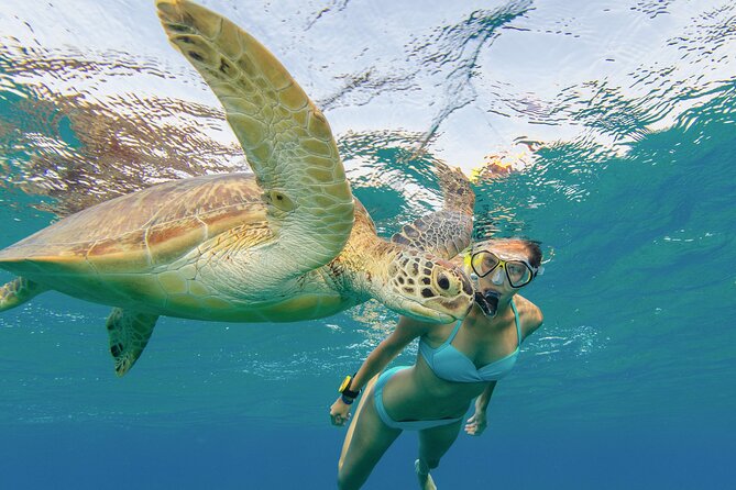 Snorkeling with Turtle/Water Scooter/Paddleboard Adventures Oahu - What the crew adds to the experience