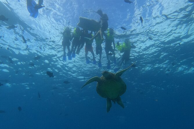 Snorkeling with Turtle/Water Scooter/Paddleboard Adventures Oahu - Diamond Head views from the water
