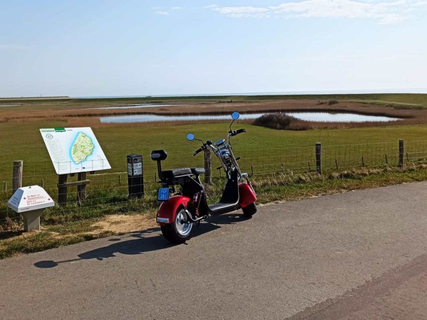 Texel: E-Scooter Rental - Your first few minutes on the Texel Cruiser