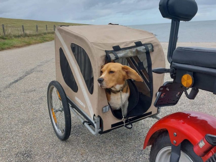 Texel: E-Scooter Rental - The dike ride toward the lighthouse