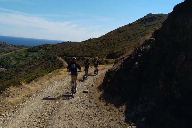 The Collioure Tops on Electric Scooters - Key points at a glance