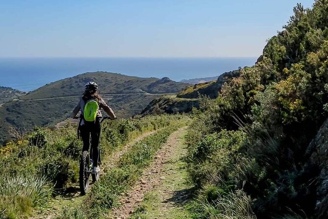 The Collioure Tops on Electric Scooters - Is $694 good value for 90 minutes?