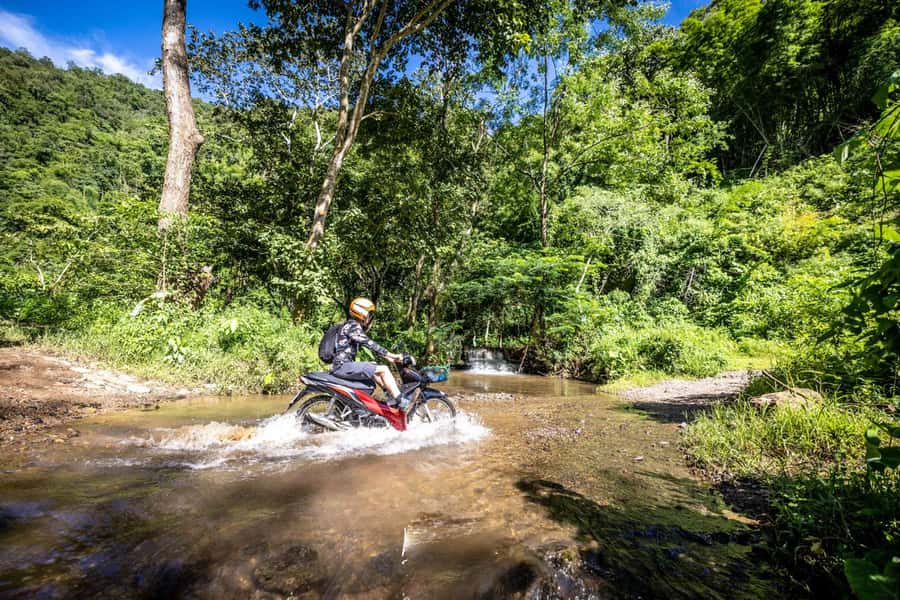 The REAL Thailand on a scooter. Check reviews !! - The cave, woods, and temple stops