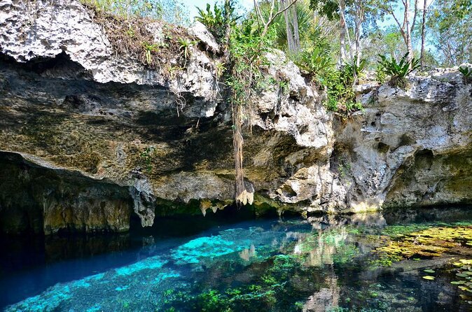 Tulum Area Guided Scooter Tour to 3 Cenote's, Snorkel/Swim & Local Lunch - Three cenotes by road, not by tour bus