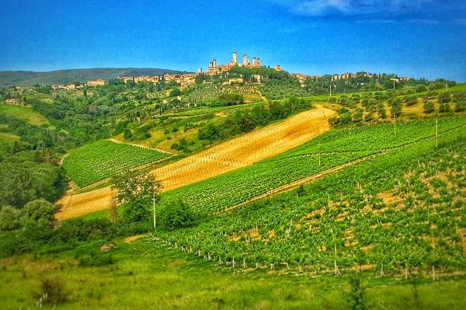 Tuscany Vespa Tour from Florence with Wine Tasting - My verdict: book it if you want Tuscany at road level