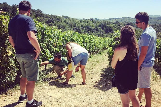 Tuscany Vespa Tours Through the Hills of Chianti - Who will enjoy this tour most?