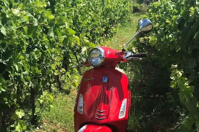Vespa Motorcycle rental in Florence - Choosing between one hour and a full day