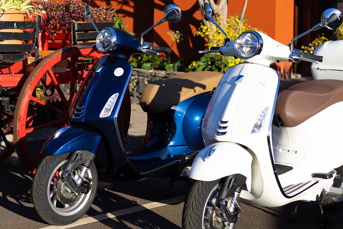 Vespa Primavera 24 Hour Rental in Madeira - Who will enjoy this rental most?