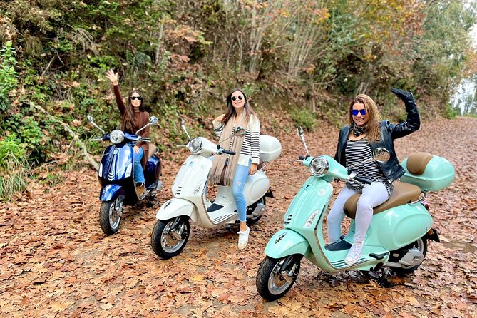 Vespa Primavera 24 Hour Rental in Madeira - Should you book the Madeira Vespa?