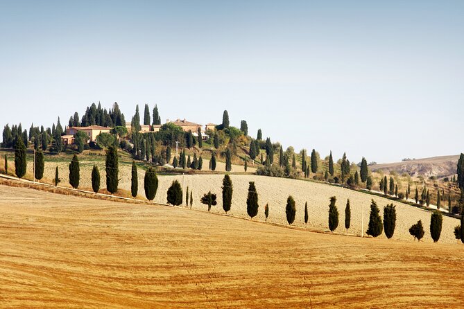 Vespa Tour with Lunch&Chianti Winery from Siena - The quick take