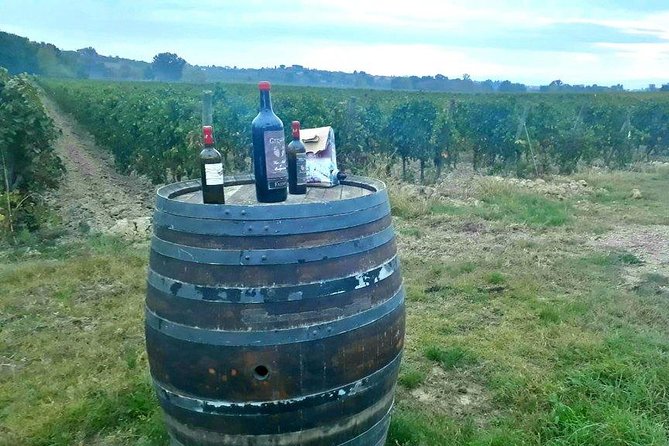 Vespa Tour with Lunch&Chianti Winery from Siena - Monteriggioni and the medieval walls