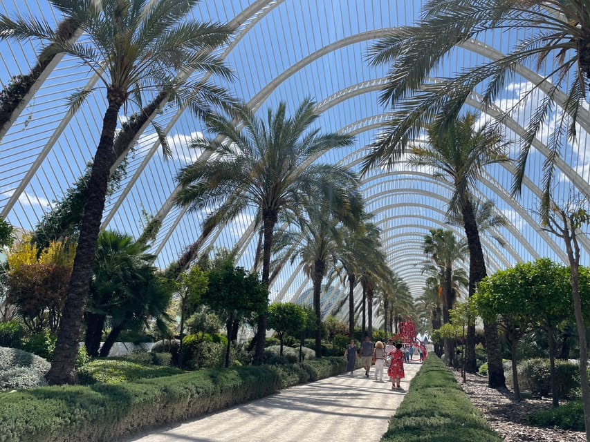 Zoom Through Valencia: Top 25 Hotspots on E-Scooters - Plaça de la Verge and the Cathedral quarter